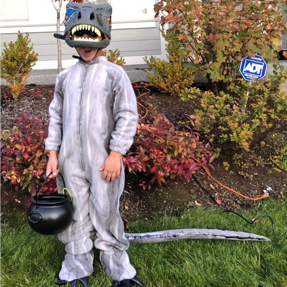 Jurassic World Blue Raptor Dinosaur Costume homemade